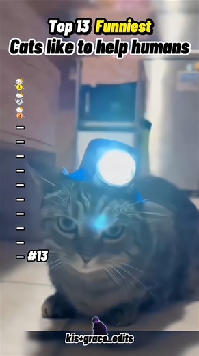 cats like to help humans 😺 #funny