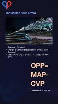 MAP vs Organ Perfusion Pressure a