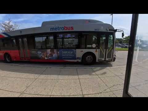 Close up View: WMATA Metrobus 2022 New Flyer Xcelsior XD40 Bus #4673 on Route P20 New Carrollton
