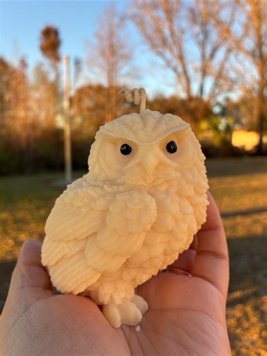 Whimsical Owl Soy Candle, Hand-poured, Housewarming Gift - Etsy
