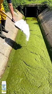 💪🚰✨Fast drain revival—effortlessly clears kitchen sinks, bathroom washbasins, and balcony drains! ⏱️🌿💧 One pour, one flush, and foul odors are gone—safe for all pipe types. 🌬️🐾Just pour and go—high-density foam that melts away grease, hair, and soap scum, leaving pipes fresh and flowing! 🧼🌀🚿 | Alisonrec