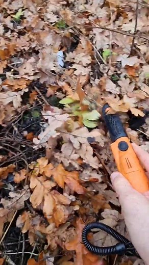 metal detecting ancient sword #metaldetecting #seekerchip #pinpointer #find | Metal detecting