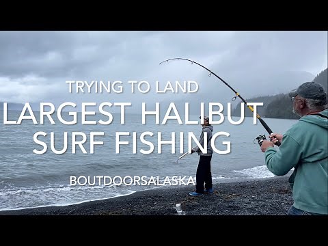 Biggest Halibut Yet Shore Fishing Seward Alaska