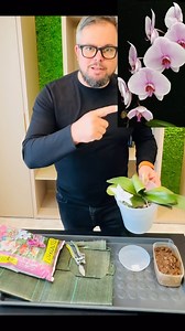 5.1K views · 1K reactions | Revigorare rădăcini și transvazare orhideea Phalaenopsis | andreimarincean.ro | Facebook