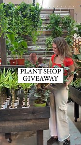 42K views · 70 reactions | Let’s show our favorite local plant shops...