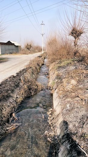 Abandoned dirt toy cleaning #satisfying #asmr #carpetcleaning #oddlysatisfying