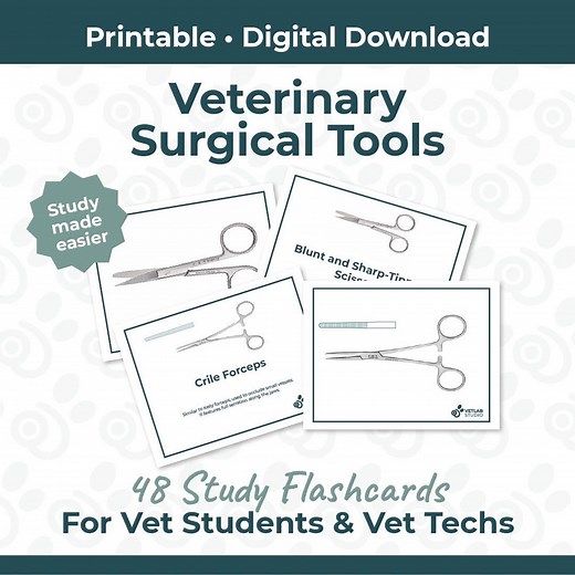 Surgical Instruments Flashcards PDF | Printable Study Guide for Veterinary & Medical Students - Etsy
