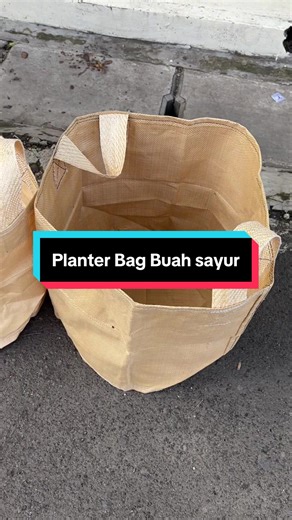 Planter Bag: Tanam Buah dan Sayuran di Rumah