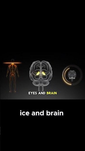 Why Illusions Matter - Insights into Brain's Reality Construction! #facts #exploreinnovation #news