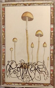 Mycorrhizae - Mycorrhizae