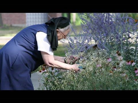 Nuns help researchers discover more about Alzhimer's