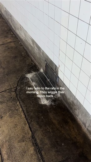 Exploring a Unique Train Zoo Experience