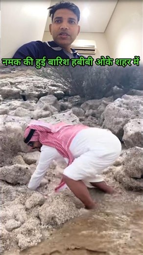 Salt rain fell on Habibi's city.