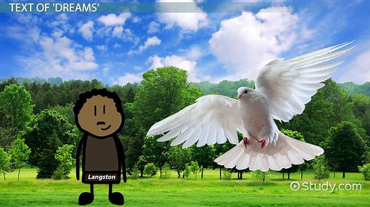 Dreams by Langston Hughes | Summary, Analysis & Theme