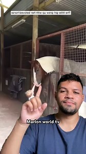 767K views · 10K reactions | Menina ganha cavalo e amizade dura 20 anos #animal #curiosidades #amigos | Marlon World Tv | Facebook
