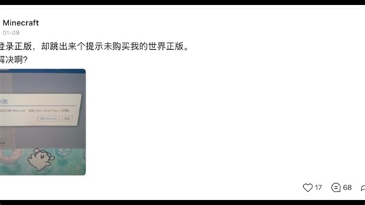 我想登录正版却弹出来个提示说未购买怎么解决啊