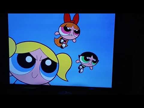 Brick x blossom moments