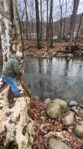Ole Tim Dutton got one. Note the cutoff before the trash talk started 😂 #Fishing #troutfishing #gatlinburg | The Banded Retrieve