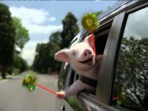 GEICO Piggy Cries Wee Wee Wee All the Way Home While I Play Unfitting Music