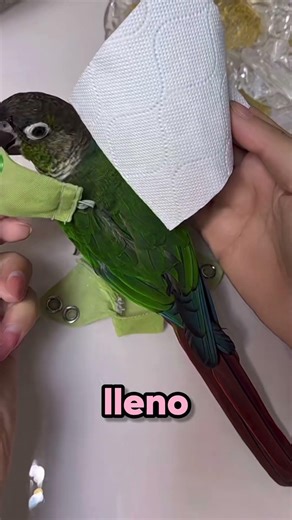 That'll leave your little bird nice and clean 😱