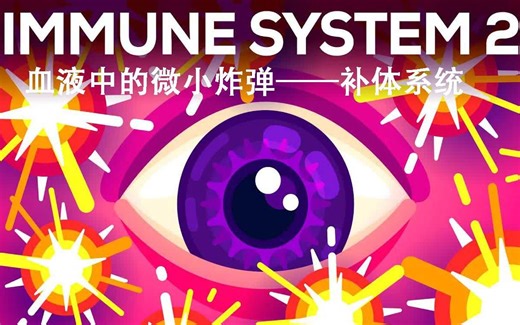 Kurzgesagt科普：血液中的微小炸弹——补体系统（中英字幕）