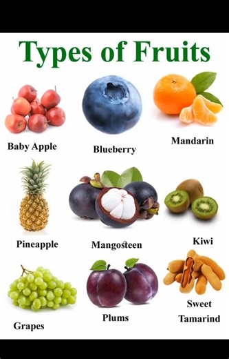 Types Of Fruit