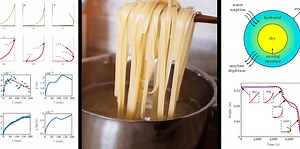 Mathematical Model Shows Why Spaghetti Curls When Cooked