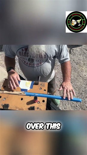 Discovering a Diamond Willow Look-Alike! #shorts