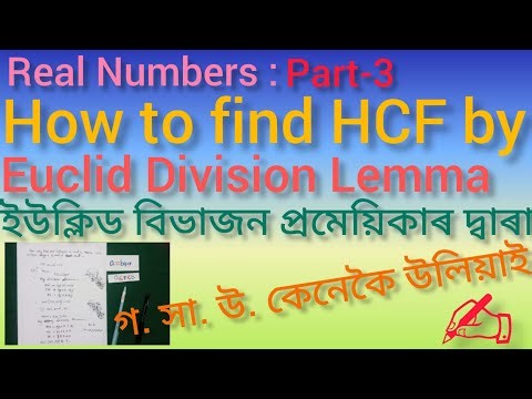 ✨REAL NUMBERS|Class 10 NCERT Exercise 1.1 Questions 3 to 5 Solutions|"Step by Steps"Made Easy#❤️