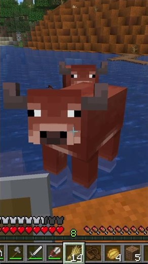Moving Cows in Minecraft Over the Water is Annoying