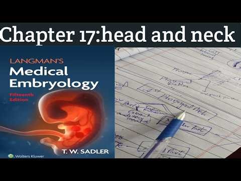 Embryology Chapter 17| 1st pharyngeal arch | (Part 2)#embryo #headandneckanatomy #education#biology