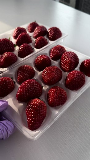 いちごのハートサイダーを作る｜Strawberry heart Soda for Valentine 【レシピ】 1.イチゴを半分にカット、ハートの型でくり抜く 2.グラスの真ん中にいちごがいくようにマスキングテープでセット 3.冷凍庫に入れる 4.サイダーを注ぐ 5.enjoy #ライフハック #lifehack #lifehacks #fyp #簡単スイーツ #スイーツレシピ #簡単アレンジ #アレンジレシピ #簡単おやつ #バズレシピ #japanesefood #tiktokレビュー #バレンタイン #バレンタインデー #バレンタインレシピ #バレンタインチョコ #valentine #valentinesday #valentine2024 #マシュマロ #marshmallow #marshmallowrecipes #tiktokレビュー