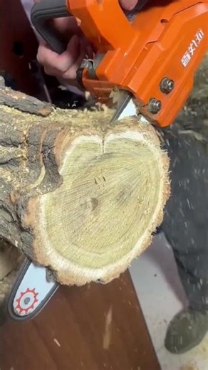 Wood Processing with Chainsaw Machine
