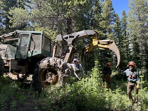 Aspen Mountain expansion proceeding on track with logging, lift construction