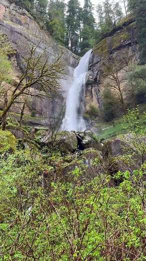 Boring Old Guy on TikTok