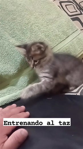 Alex Castillo Castillo on Reels | Facebook