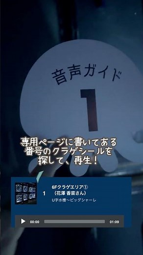 🪼ゆらめく時間展 音声ガイドの楽しみ方🫧
