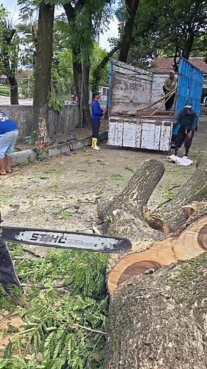 Very fast and sharp wood cutting machine | Suprapto