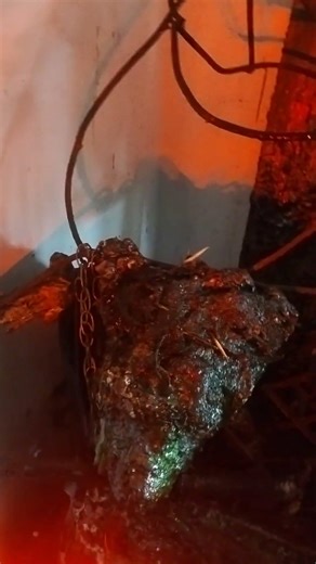 Raw materiality of the hyaenic forms