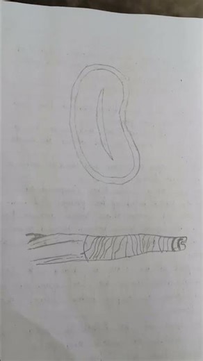 Easy way to draw a diagram in Note book 👍#