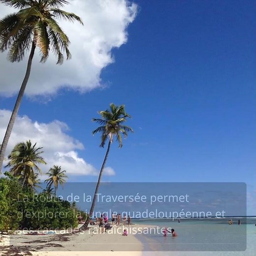 Explorez les 15 joyaux de la Guadeloupe pour un voyage inoubliable