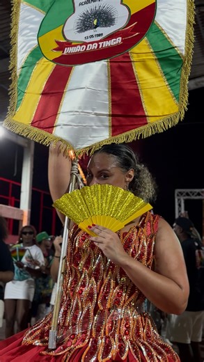 🇲🇱🦚 TBT DE UM GRANDE SHOW DO PAVÃO!! 😍🇲🇱 #carnaval #portoalegre #cultura #uniaodatinga #samba | UNIÃO DA TINGA