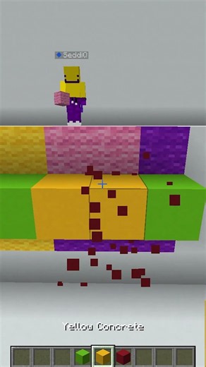 Guess the Colors Challenge with a Friend (No Biscuit No) 🔥🤩#minecraft