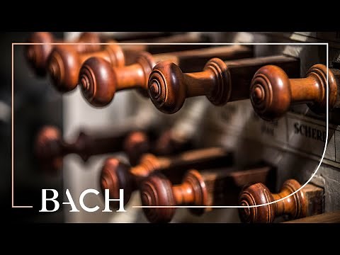 Bach - Prelude and fugue in G minor BWV 535 - Van Doeselaar | Netherlands Bach Society