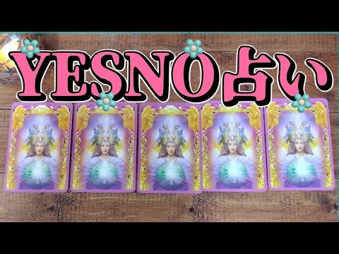 【5択】YESNO占い🛸エンジェルアンサーオラクルカードとルノルマンカードで占っていきます☄️