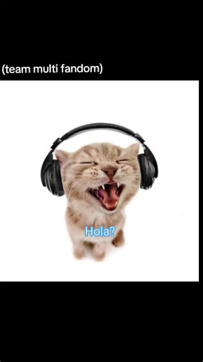 #team #multifandom #teammultifandom #