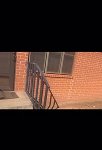 We’re back! | Big Country Snake Removal