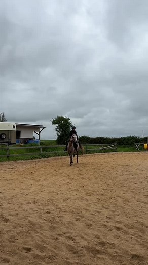 Hilarious Equestrian Fails in Outdoor Riding Arena