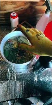 Is there really gold in phone PCBs? #shorts #goldrecovery #goldfromelectronics #recycling #gold