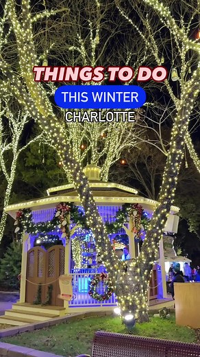 Carowinds WinterFest: A Magical Holiday Experience in the Carolinas